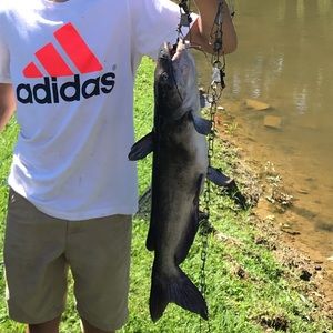 Meet your Posher, Zach